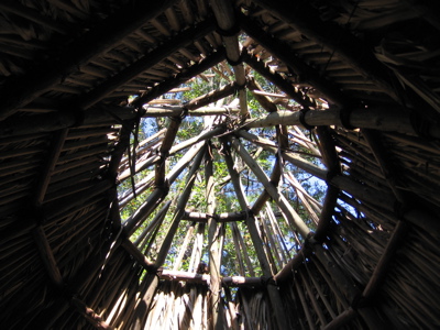  Dreaming as Shamanic Archaeology