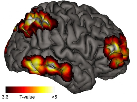 lucid-dreaming-on-the-brain-dream-studies-portal